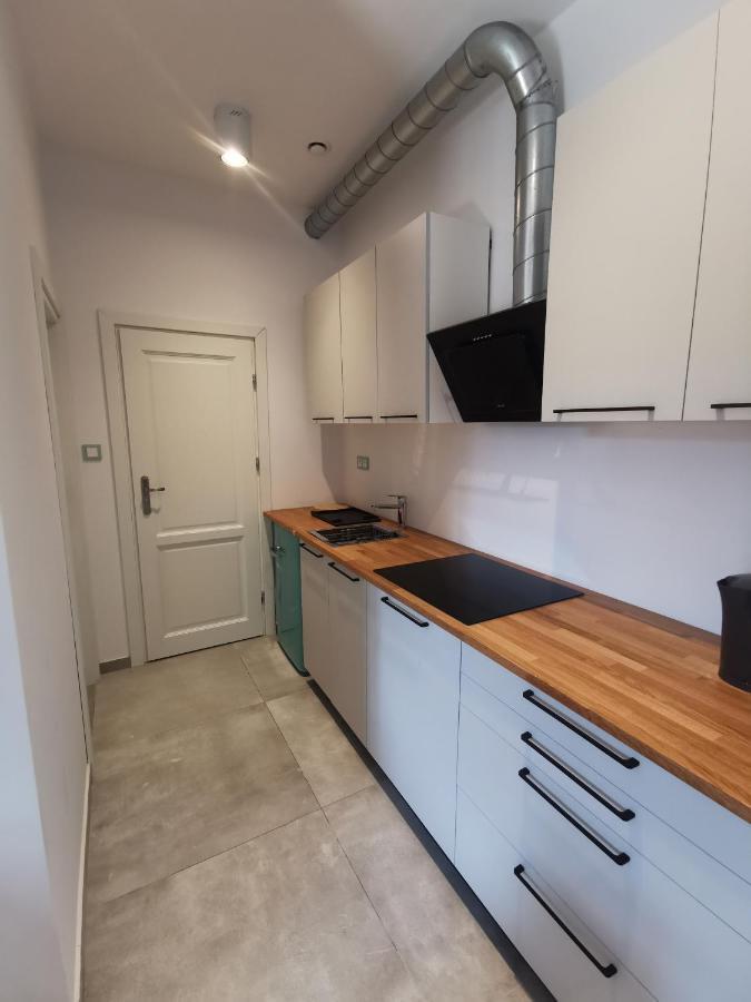 Nowe Apartamenty Zamkowa Vis A Vis Wawelu Krakow Luaran gambar