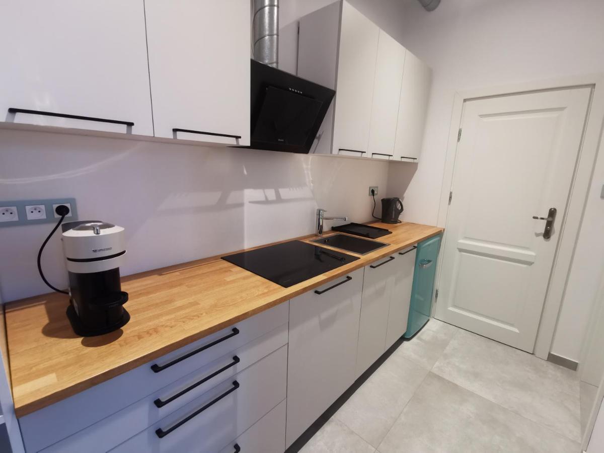 Nowe Apartamenty Zamkowa Vis A Vis Wawelu Krakow Luaran gambar
