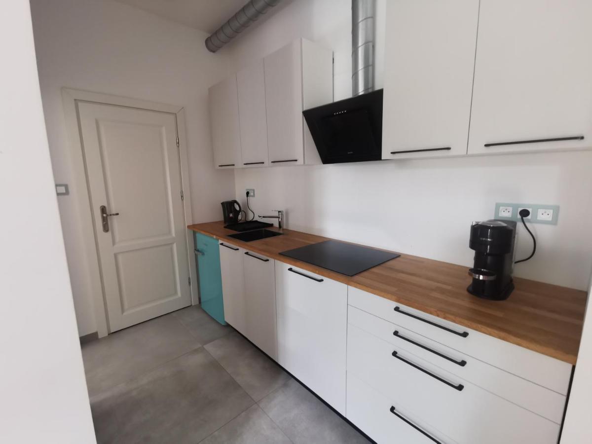 Nowe Apartamenty Zamkowa Vis A Vis Wawelu Krakow Luaran gambar